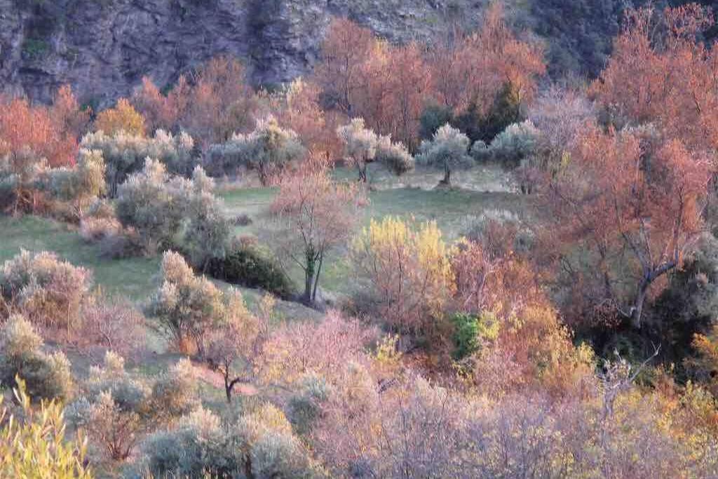 Villa Casa Carmela, Rural House With Spectacular Views, In An Exquisite Area Atalbeitar Exterior foto