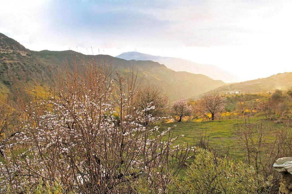 Villa Casa Carmela, Rural House With Spectacular Views, In An Exquisite Area Atalbeitar Exterior foto